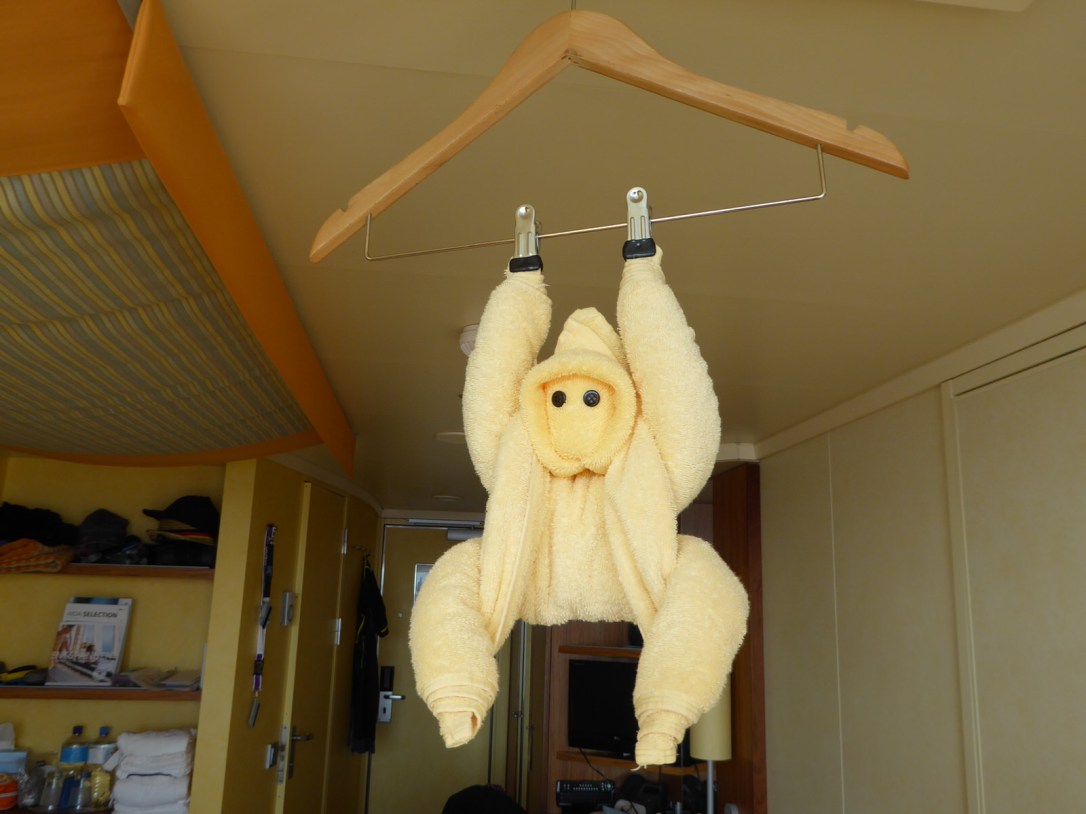 aida-handtuchtier-affe