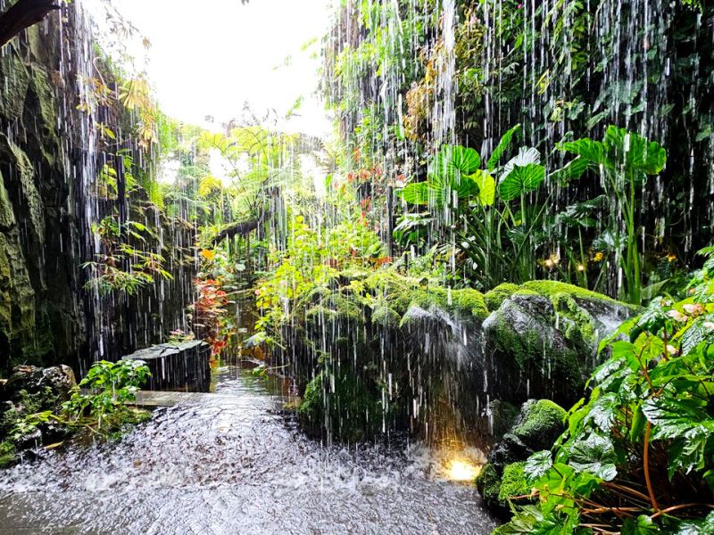 22.02.2024: SINGAPUR (Singapur)