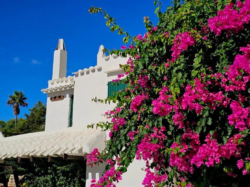 Mit AIDAstella zu den Mediterranen&nbsp;Highlights